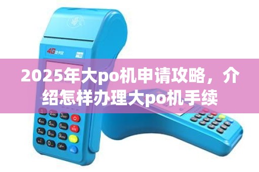2025年大po机申请攻略，介绍怎样办理大po机手续