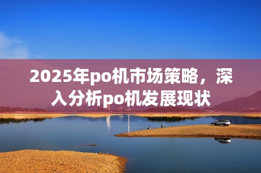 2025年po机市场策略，深入分析po机发展现状