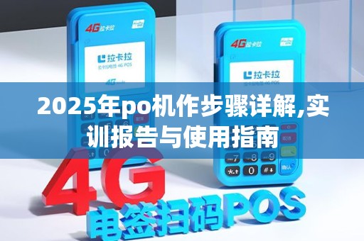 2025年po机作步骤详解,实训报告与使用指南