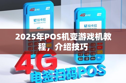2025年POS机变游戏机教程，介绍技巧