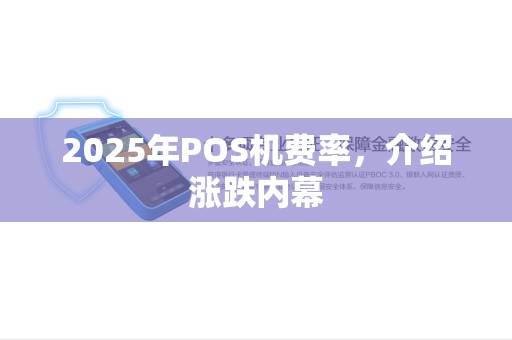 2025年POS机费率，介绍涨跌内幕