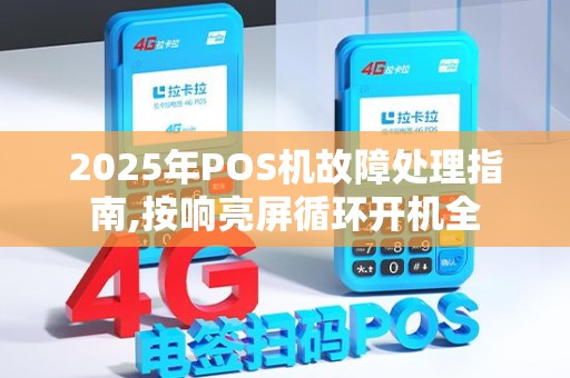 2025年POS机故障处理指南,按响亮屏循环开机全