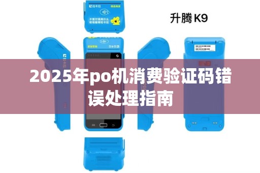 2025年po机消费验证码错误处理指南