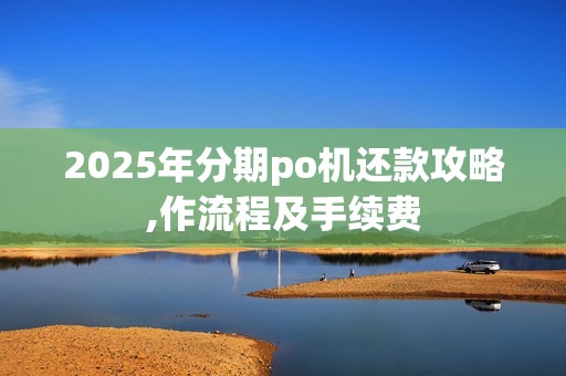 2025年分期po机还款攻略,作流程及手续费