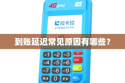 到账延迟常见原因有哪些？