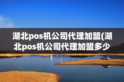 湖北pos机公司代理加盟(湖北pos机公司代理加盟多少钱)