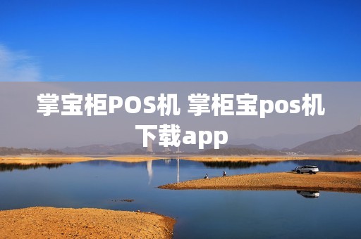 掌宝柜POS机 掌柜宝pos机下载app