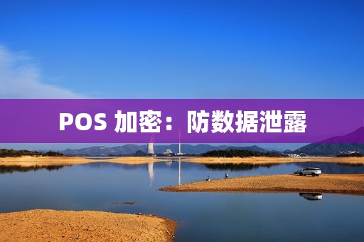 POS 加密：防数据泄露