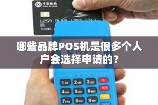 哪些品牌POS机是很多个人户会选择申请的？
