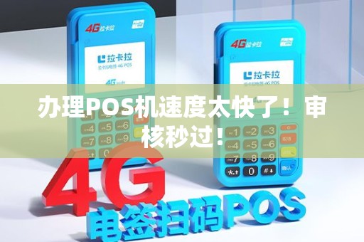 办理POS机速度太快了！审核秒过！