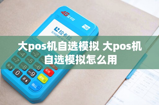 大pos机自选模拟 大pos机自选模拟怎么用