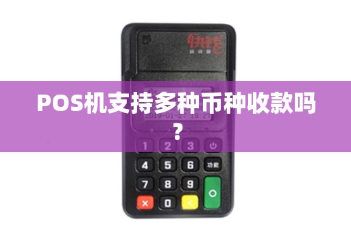 POS机支持多种币种收款吗？
