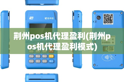 荆州pos机代理盈利(荆州pos机代理盈利模式)