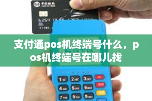 支付通pos机终端号什么，pos机终端号在哪儿找