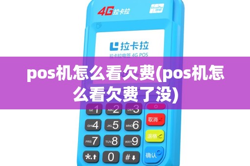 pos机怎么看欠费(pos机怎么看欠费了没)