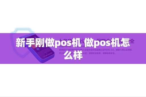 新手刚做pos机 做pos机怎么样