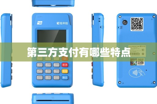 第三方支付有哪些特点