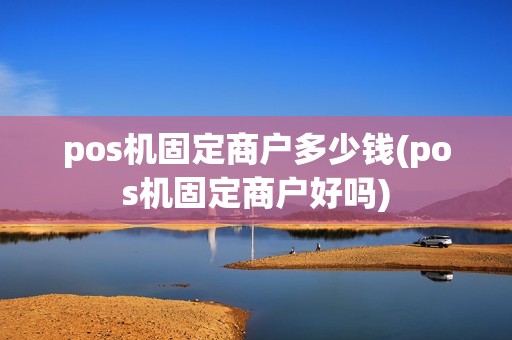 pos机固定商户多少钱(pos机固定商户好吗)