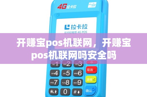 开赚宝pos机联网，开赚宝pos机联网吗安全吗
