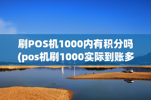 刷POS机1000内有积分吗(pos机刷1000实际到账多少)