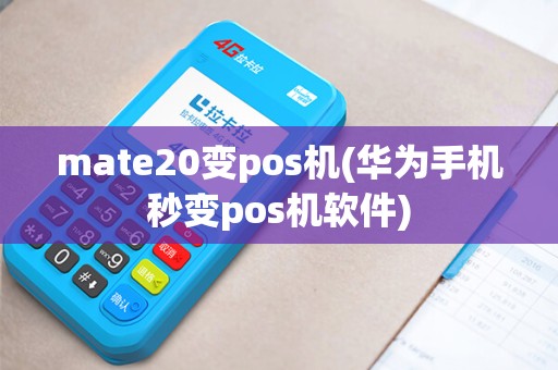 mate20变pos机(华为手机秒变pos机软件)
