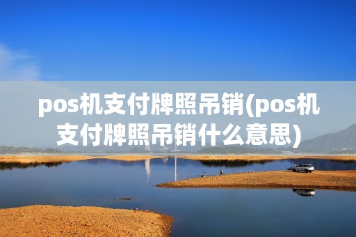 pos机支付牌照吊销(pos机支付牌照吊销什么意思)