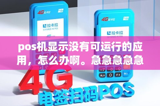 pos机显示没有可运行的应用，怎么办啊。急急急急急急