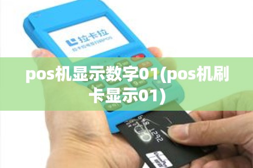 pos机显示数字01(pos机刷卡显示01) pos机显示数字01(pos机刷卡显示01)