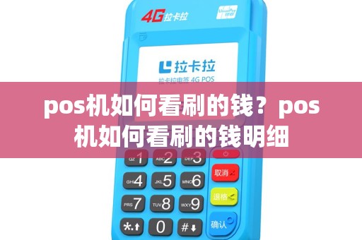 pos机如何看刷的钱？pos机如何看刷的钱明细