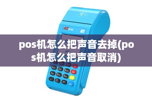 pos机怎么把声音去掉(pos机怎么把声音取消)