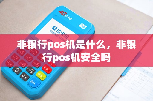 非银行pos机是什么，非银行pos机安全吗