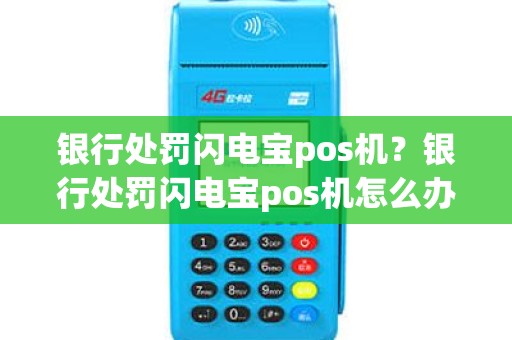 银行处罚闪电宝pos机？银行处罚闪电宝pos机怎么办