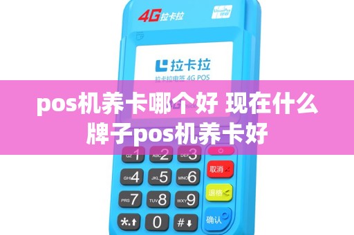pos机养卡哪个好 现在什么牌子pos机养卡好 pos机养卡哪个好 现在什么牌子pos机养卡好