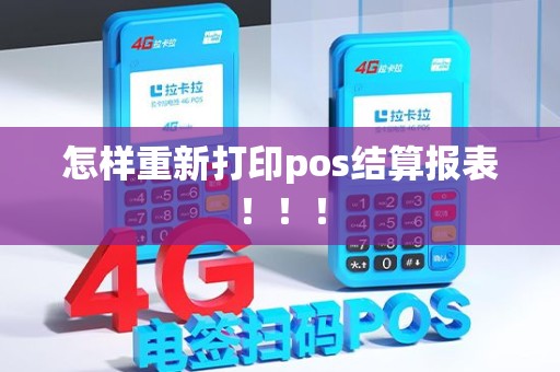 怎样重新打印pos结算报表！！！