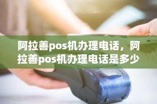 阿拉善pos机办理电话，阿拉善pos机办理电话是多少