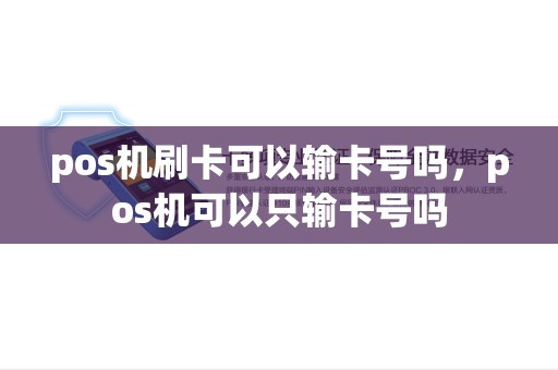 pos机刷卡可以输卡号吗，pos机可以只输卡号吗