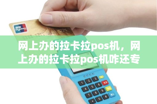 网上办的拉卡拉pos机，网上办的拉卡拉pos机咋还专门拉了个七人售后服务群