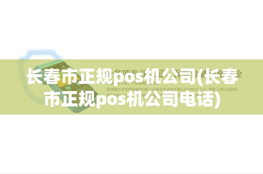 长春市正规pos机公司(长春市正规pos机公司电话)