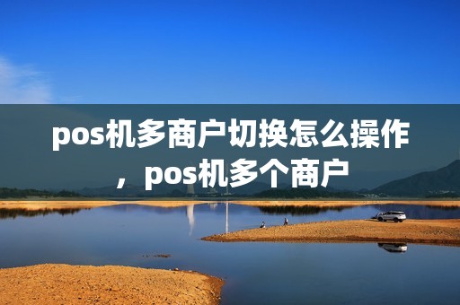 pos机多商户切换怎么操作，pos机多个商户