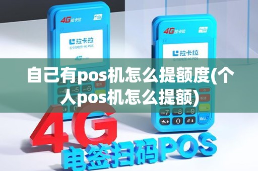 自己有pos机怎么提额度(个人pos机怎么提额)