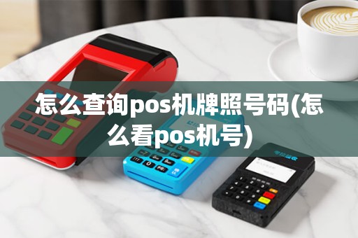 怎么查询pos机牌照号码(怎么看pos机号)