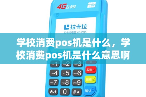 学校消费pos机是什么，学校消费pos机是什么意思啊