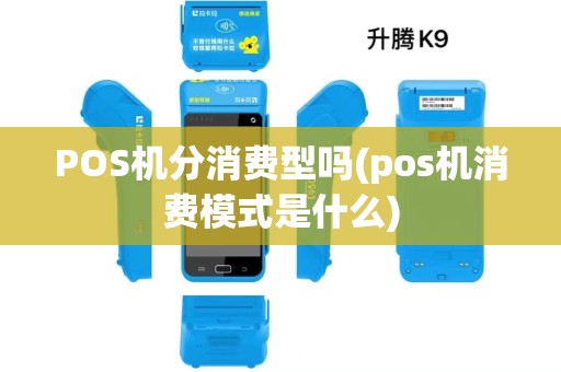 POS机分消费型吗(pos机消费模式是什么)