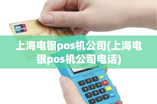 上海电银pos机公司(上海电银pos机公司电话)