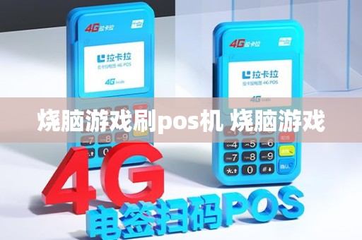 烧脑游戏刷pos机 烧脑游戏