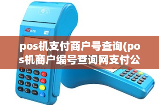pos机支付商户号查询(pos机商户编号查询网支付公司) pos机支付商户号查询(pos机商户编号查询网支付公司)