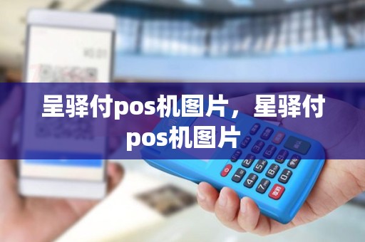 呈驿付pos机图片，星驿付pos机图片