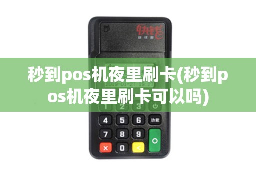 秒到pos机夜里刷卡(秒到pos机夜里刷卡可以吗)