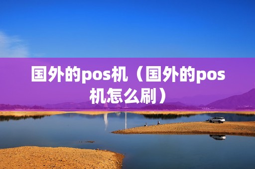 国外的pos机（国外的pos机怎么刷）