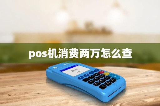 pos机消费两万怎么查